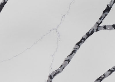 Calacatta Laza Night Quartz