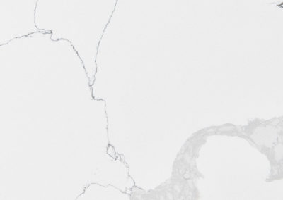 Calacatta Leon Quartz