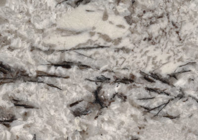 Delicatus White Granite Close Up